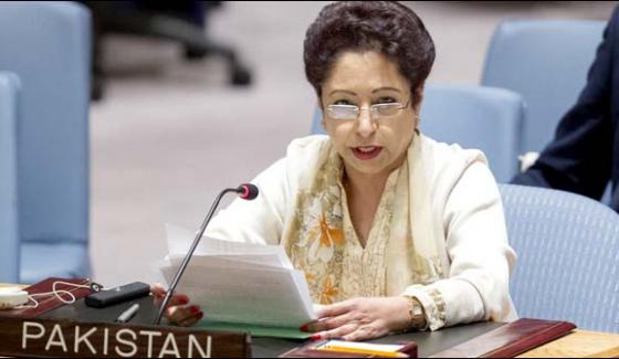 Reforms In Security Council Should Be On Democratic Principles Maleeha Lodhi