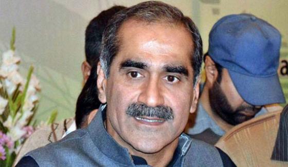 We Should Also Respect Of Parliament With Judiciary Saad Rafiq