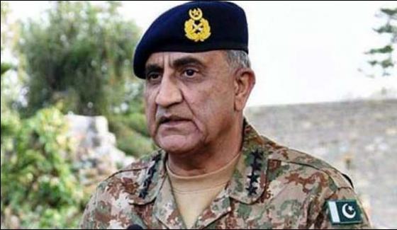Pakistan Eliminates Terrorist Shelters Army Chief