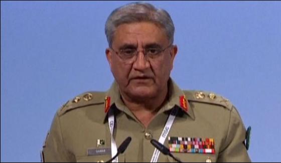 Terrorists Are Safe In Afghanistan Army Chief