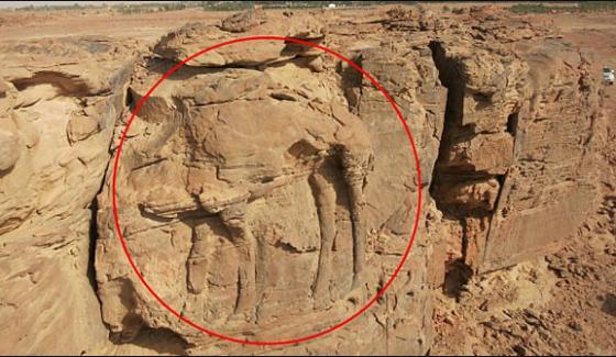 Mysterious Ancient Carvings Of Camels Located In Saudi Arabia