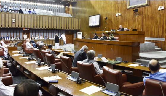 Ecp Issues Final List Of Candidates For Senate Election