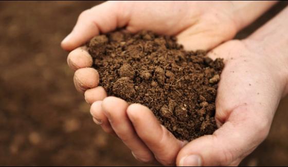 Discover The Powerful Antibiotics Ingredients Hidden In The Soil