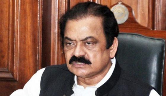 If Senate Ticket Cancelled Then Candidate Will Fight Election Independently Rana Sanaullah