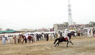 Three Day Horse Festival In Dg Khan Begins