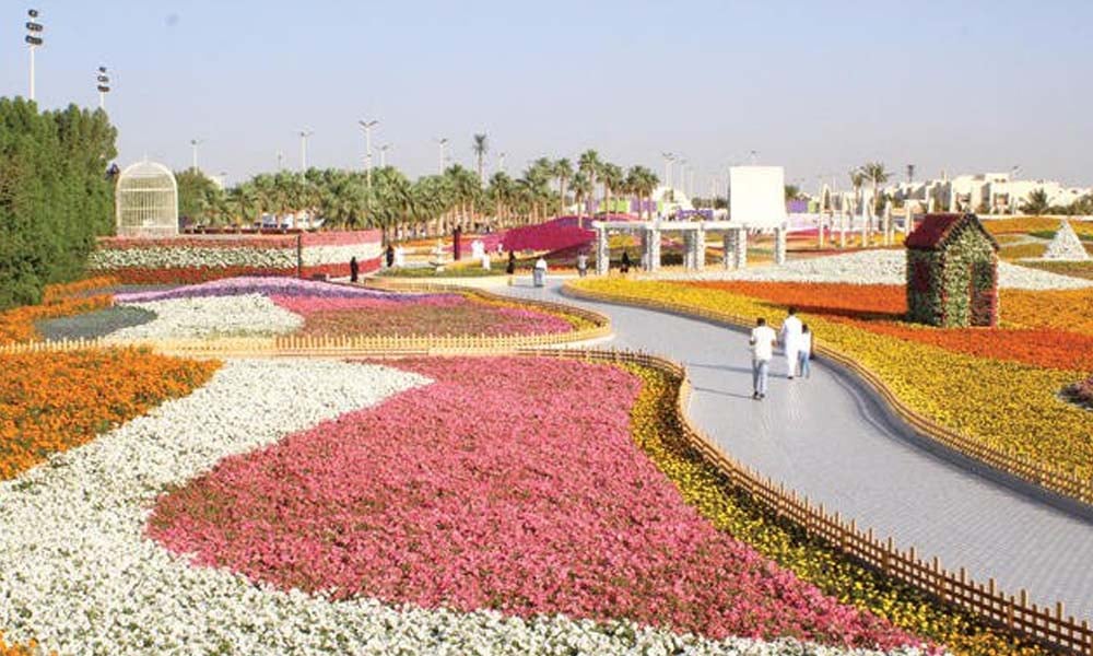 سعودی عرب کے شہر یانبو میں ہر سو پھولوں کی بہار چھاگئی