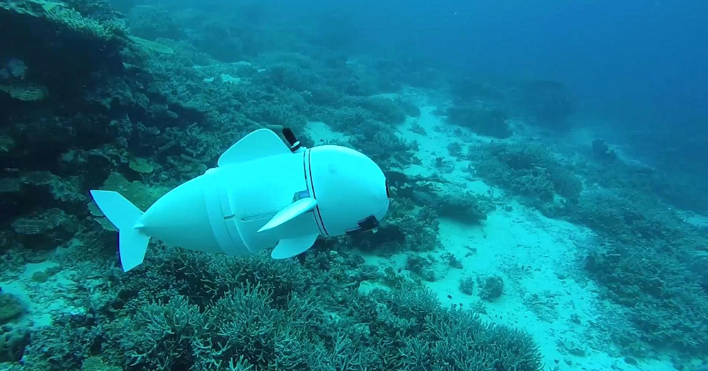 سمندر میں نگرانی کیلئے روبوٹ مچھلی تیار
