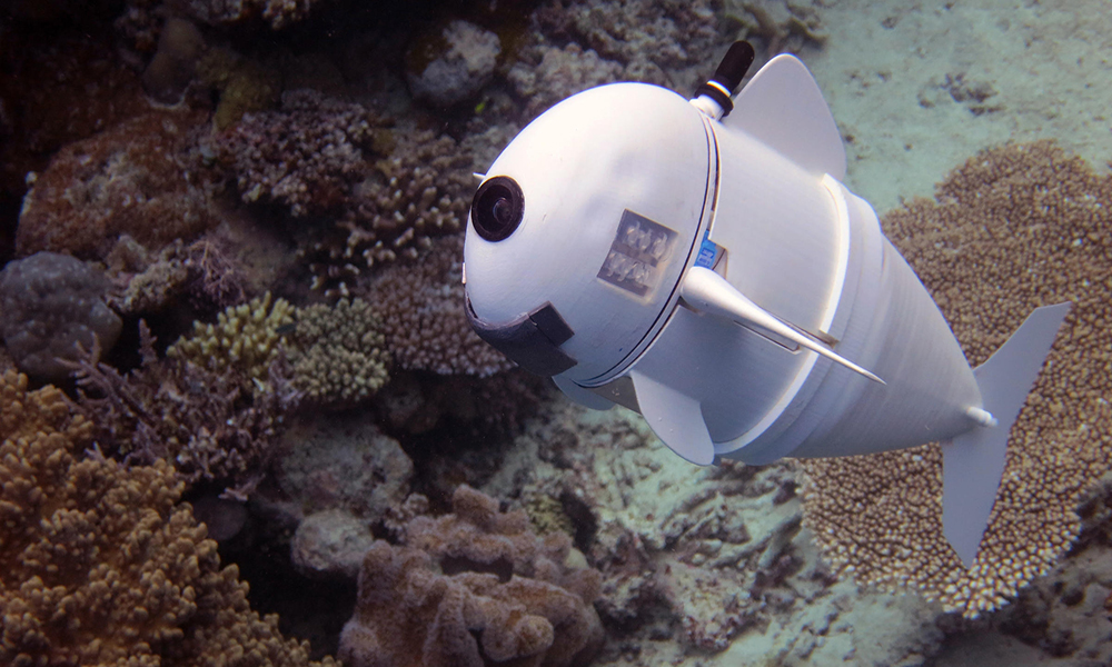 سمندر میں نگرانی کیلئے روبوٹ مچھلی تیار