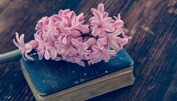 آج کا ادیب اور نئے ادبی رجحانات