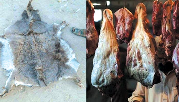 مردہ جانوروں کے گوشت کی فروخت