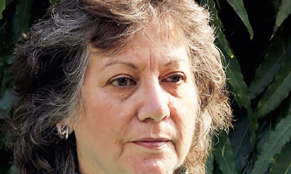 منیزہ ہاشمی کوبھارت میں ثقافتی شو میں شرکت سے روک دیا گیا