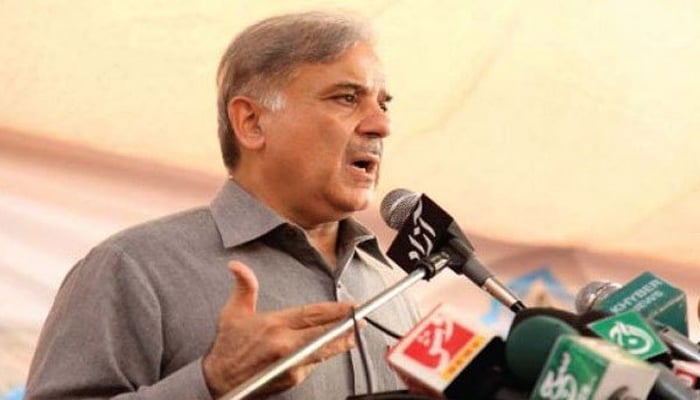 عمران ، زرداری گٹھ جوڑ صرف ن لیگ کے خلاف ہے، شہباز