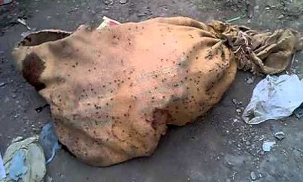 شکار پور سے خاتون اور 3بچوں کی بوری بند لاشیں ملیں