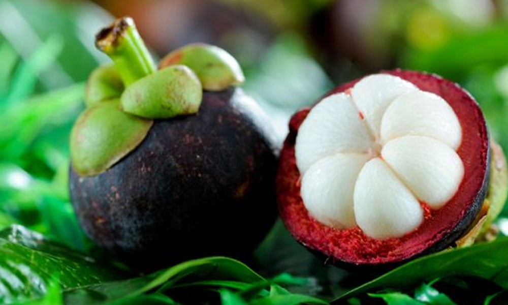 مینگوسٹین پھل کے سات حیرت انگیز فائدے