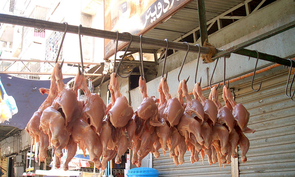 کراچی میں مرغی کی قیمتوں میں مزید کمی