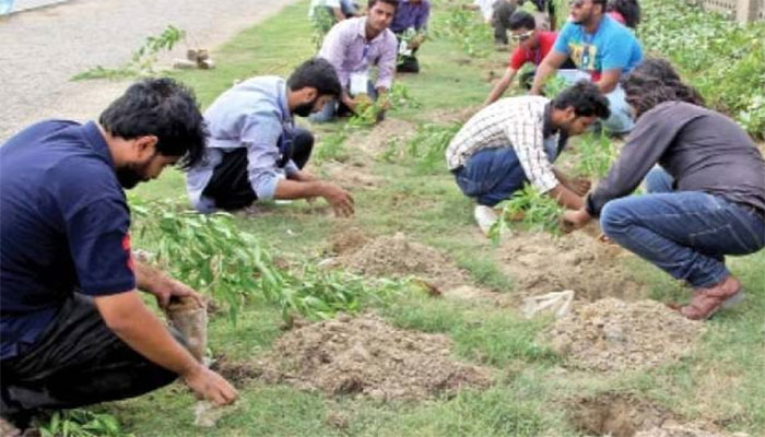 سوشل میڈیا پرکراچی کی گرمی ٹاپ ٹرینڈ، درخت لگانے کی مہم شروع