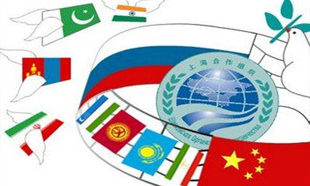 بھارتی وفدپاکستان آئے گا،سفارتی ذرائع کی تصدیق