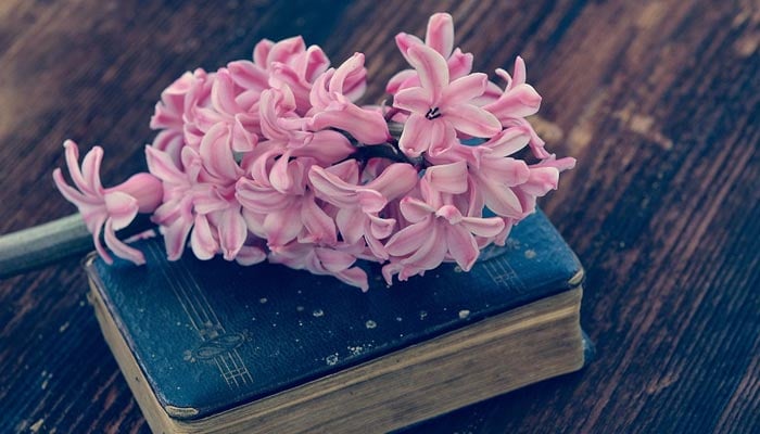 ادب اور ادبی نظریات
