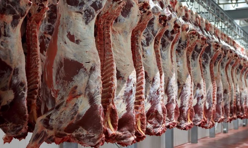 سعودی عرب نے بھارت سے در آمد گوشت پر پابندی لگا دی