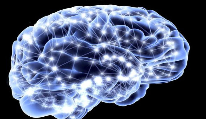 بڑھتی عمر میں دماغ کے سیل کام کرنا چھوڑ دیتے ہیں، نئی تحقیق