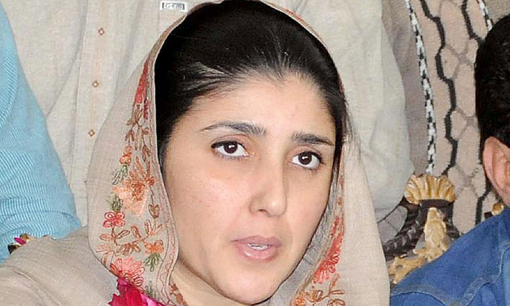  عائشہ گلالئی قومی اسمبلی کے6حلقوں سے انتخاب لڑیں گی
