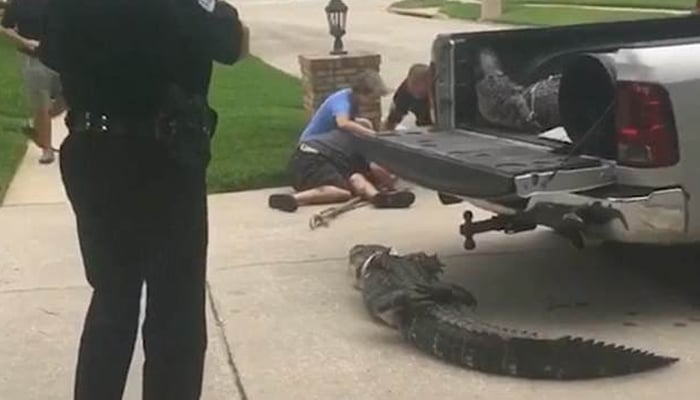 فلوریڈا: مگرمچھ نے پولیس اہلکاروں سے بدلا لے لیا