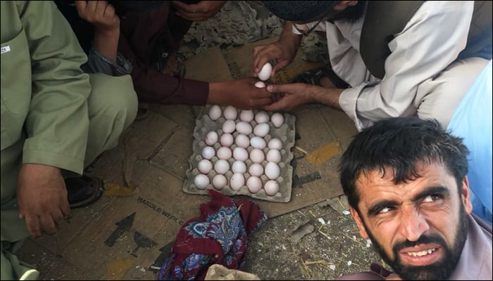 کوئٹہ میں عید پر انڈے لڑانے کا دلچسپ کھیل  تفریح کا باعث 