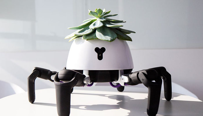 پودوں کو پانی فراہم کرنے والا روبوٹ متعارف 