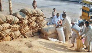  سندھ میں خشک سالی ،صوبے کے 148 دیہوں میں گندم کی تقسیم 