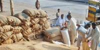  سندھ میں خشک سالی ،صوبے کے 148 دیہوں میں گندم کی تقسیم 