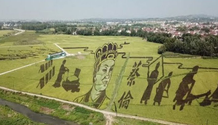  کسانوں نے کھیتوں پر تھری ڈی تصاویر بنا ڈالیں