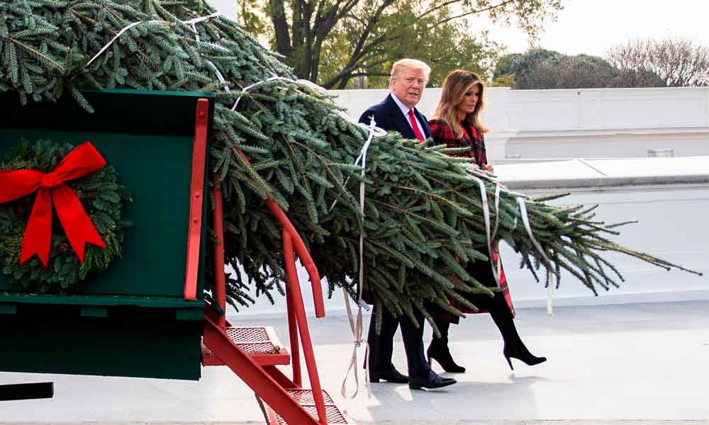 وائٹ ہاؤس میں ’کرسمس ٹری‘ پہنچ گیا 