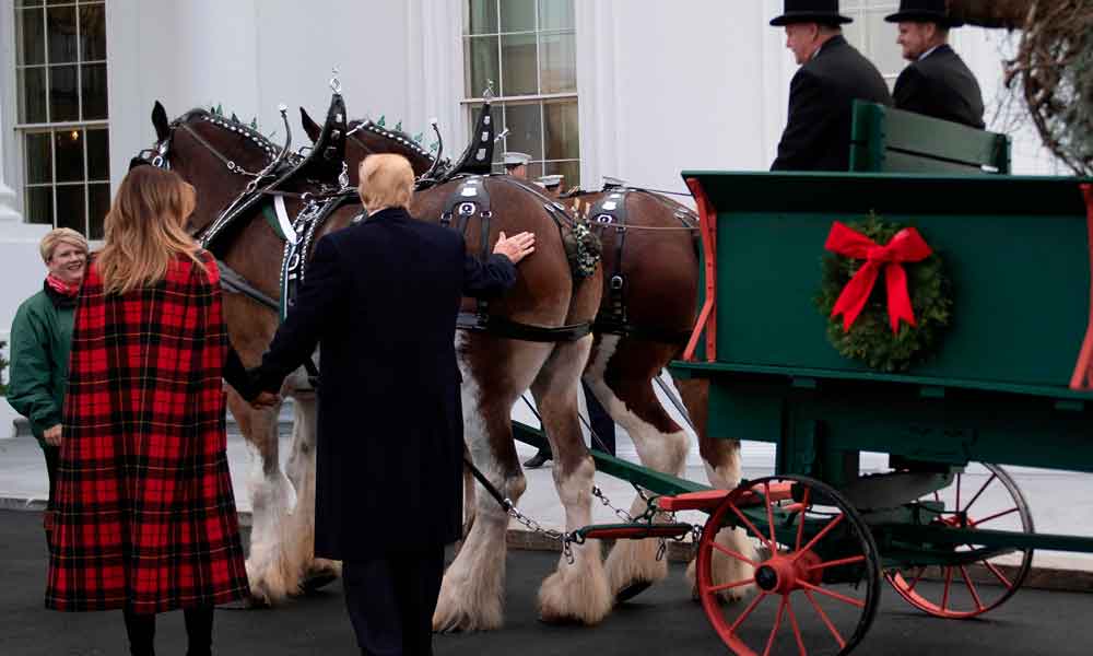 وائٹ ہاؤس میں ’کرسمس ٹری‘ پہنچ گیا 