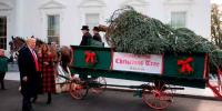 White House Christmas Tree