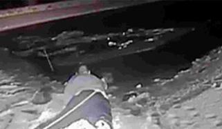 Police Officer Rescues Dog From Icy Nj Pond