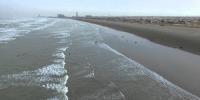 Public Ban On The Beach In Karachi