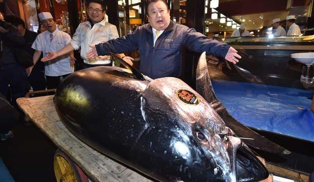 جاپان میں دنیا کی مہنگی ترین مچھلی کی نیلامی