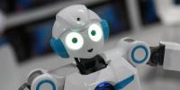 Ces 2019 Ending Today Once Again Shows Off A Wide Variety Of Robots
