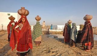 Cold Winds In Thar Increase Troubles Of Residents