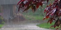 Rain Likely In Various Parts Of The Country