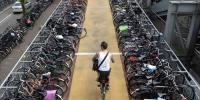 Netherlands People To Cycle To Work In Effort To Cut Road Congestion