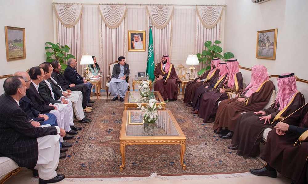سعودی ولی عہد سے ارکان قومی اسمبلی و سینیٹرز کی ملاقات