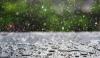Rain Snowfall Expected In Different Parts Of The Country