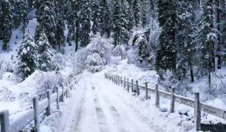 Rainfall In Murree Rain In Punjab And Sindh