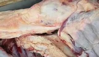 Punjab Food Authority Seizes 4300kg Unhygienic Meat