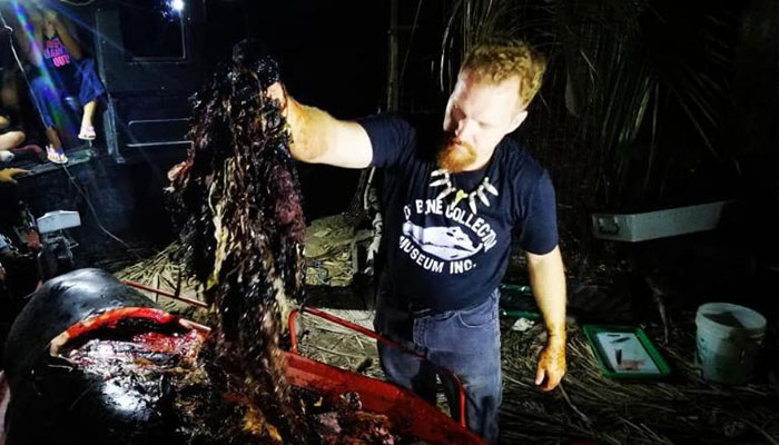 فلپائن:مردہ وہیل مچھلی کے پیٹ سے چالیس کلو پلاسٹک برآمد 