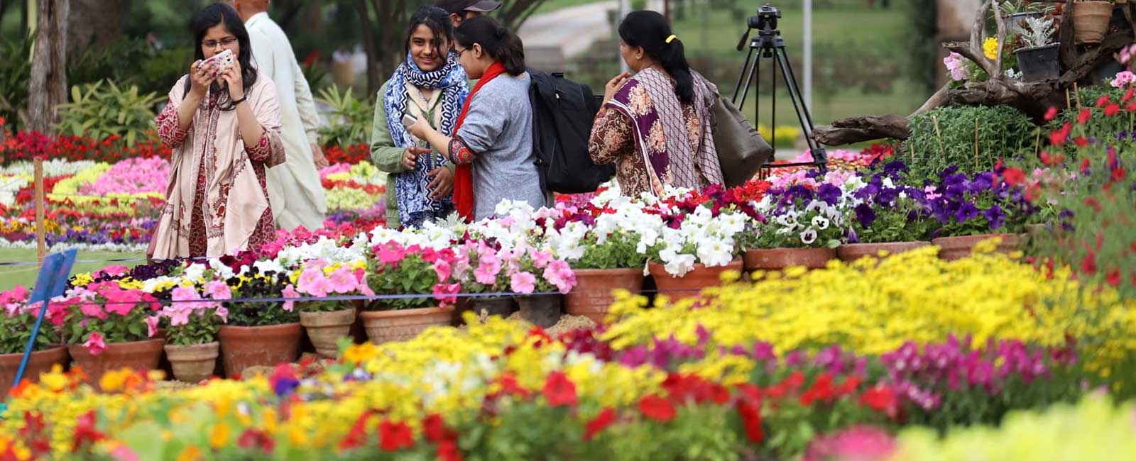 flower show in rose and jasmine garden islamabad | misc-news - daily