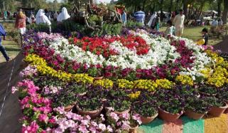 Flower Show In Rose And Jasmine Garden Islamabad