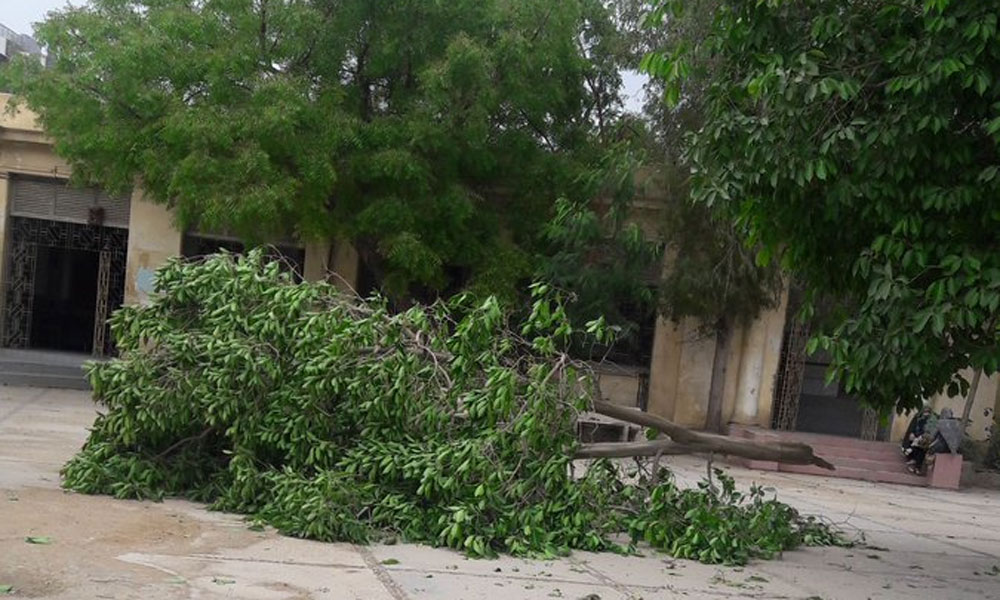 کراچی: تیز ہوا سے حادثات، 3 افراد جاں بحق، متعدد زخمی