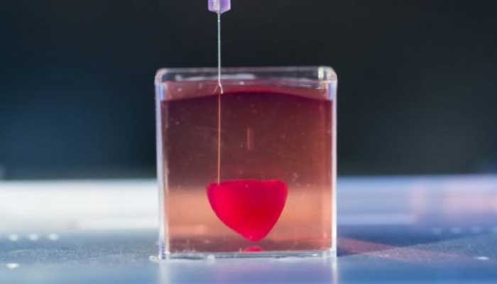 انسانی ریشوں اور شریانوں کےساتھ پہلا 3Dپرنٹ دل تیار